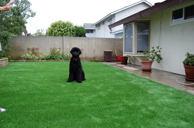 🥇Licensed Artificial Turf Installers Near Me in La Jolla 92037 🥇