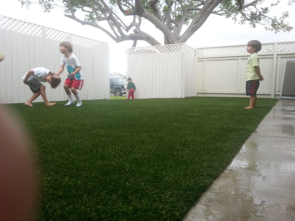 Synthetic Lawn Company La Jolla, Top Rated Artificial Turf Installation Company