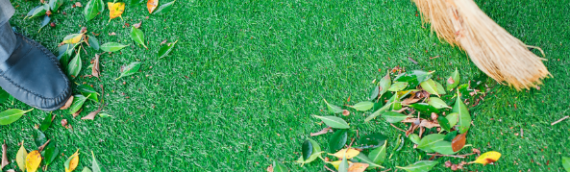 ▷How To Care About Your Synthetic Grass In La Jolla?