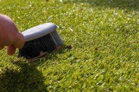 5 Reasons That You Need To Brush Your Artificial Grass In La Jolla