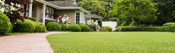 ▷5 Tips To Increase The Life Of Artificial Grass In La Jolla