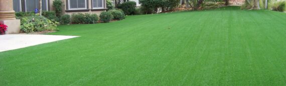 ▷5 Reasons To Add Fence In Your Artificial Grass Lawn In La Jolla